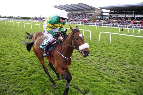 irish national hunt tips today|This Weekend’s Irish National Hunt Tips at Curragh.